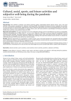 Cultural, social, sports, and leisure activities and subjective well-being during the pandemic